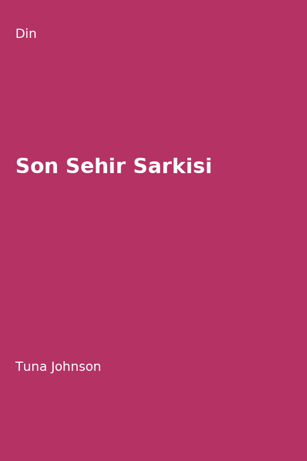 Son Sehir Sarkisi