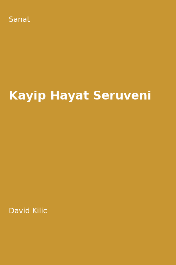 Kayip Hayat Serüveni