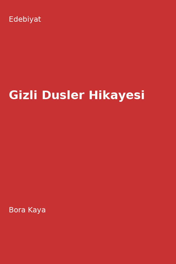 Gizli Düsler Hikayesi