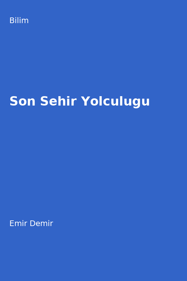 Son Sehir Yolculugu